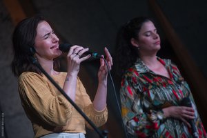 Galéria kép